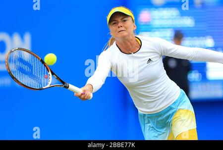 Daniela Hantuchova de Slovaquie en action dans son jeu avec Laura Robson de Grande-Bretagne lors de l'AEGON Classic au Prieuré d'Edgbaston, Birmingham. Banque D'Images