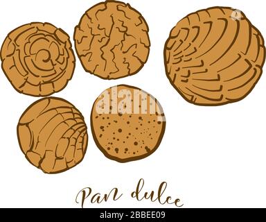 Dessin coloré de pain pandulce. Illustration vectorielle de la nourriture de pain sucré, généralement connue au Mexique. Croquis de pain colorés. Illustration de Vecteur