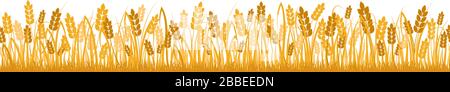 Fond de champ de blé jaune de dessin animé isolé sur l'illustration plate vectorielle blanche Illustration de Vecteur