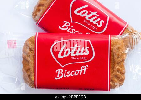 Lot de casse-croûte de biscuits Lotus Biscoff sur fond blanc Banque D'Images