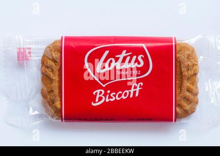 Casse-croûte de biscuits Lotus Biscoff isolés sur fond blanc Banque D'Images