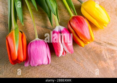 Plat couche printemps tulipe fleurs bouquet sur fond brun en bois, espace de copie. Banque D'Images