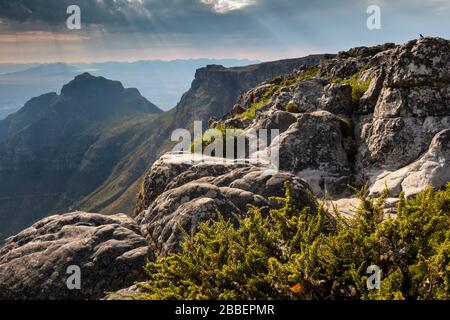 Afrique du Sud, le Cap, Table Mountain, bord rocheux du plateau Banque D'Images