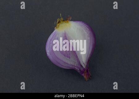 Photographie d'un oignon de couleur rose demi-pelé isolé avant un fond noir isolé Banque D'Images