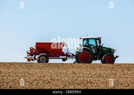 Bad Krozingen, Allemagne. 31 mars 2020. Un agriculteur utilise un épandeur d'engrais pour répandre de l'engrais minéral sur son champ. Crédit: Philipp von Ditfurth/dpa/Alay Live News Banque D'Images