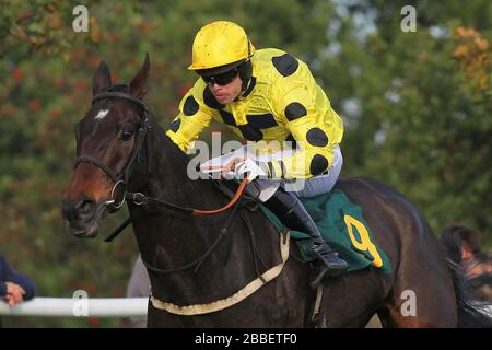 Arbeo monté par Sam Thomas en sautant l'action pendant le Handicap Chase d'octobre Banque D'Images