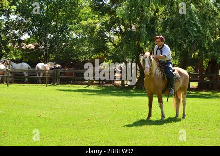 Estancia El Ombu de Areco, Argentine 2019; gaucho montre sa vie et son travail sur une ferme typiquement Argentine qui monte son cheval préféré Banque D'Images