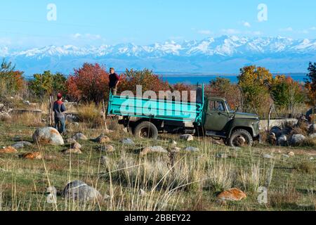 Vieux camion avec deux ouvriers agricoles locaux kirghiz. Paysage naturel au Kirghizstan avec rochers, arbres, lac Issyk-Kul et chaîne de montagnes avec neige. Banque D'Images