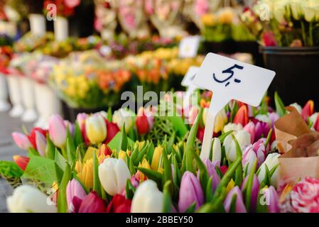 Fleurs sur le marché de la rue à Tallinn, Estonie. Différentes couleurs de tulipes avec étiquette de prix Banque D'Images