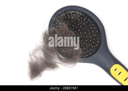 Fourrure de chat sur brosse pour animaux de compagnie, sabot de toilettage avec laine animale isolée sur fond blanc Banque D'Images