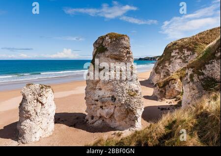 Falaises de calcaire et piles de mer à la plage de Whiterocks près de Portrush, sur la côte nord d'Antrim Causeway, en Irlande du Nord Banque D'Images
