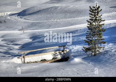 Staller Sattel, Brücke, Weg, verschneit, zugeschneit, Bach, Almbach, Staller Almbach, Osttirol, Tirol, Winter, Jahreszeit, Schnee, EIS, Schneedecke, W Banque D'Images