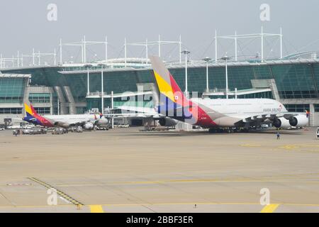 Asiana Airlines Airbus A 380 et A 321. L'aéroport Incheon de Séoul en Corée du Sud est le centre d'Asiana, offrant de multiples connexions. Banque D'Images