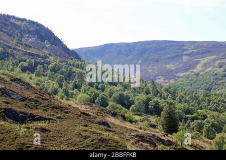 Gwydir Forest Park, Snowdonia National Park Conwy, Pays de Galles Banque D'Images
