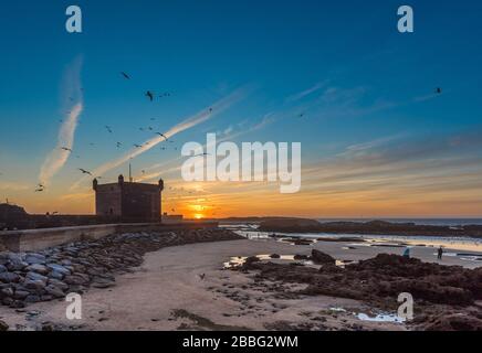 Coucher de soleil à Essaouira et vue sur le fort, Essaouira, Maroc Banque D'Images