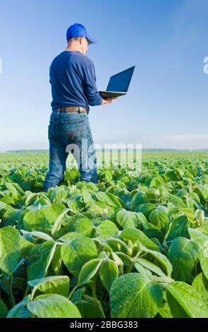 Un homme utilisant un ordinateur vérifie un champ de soja à croissance moyenne, Manitoba, Canada Banque D'Images