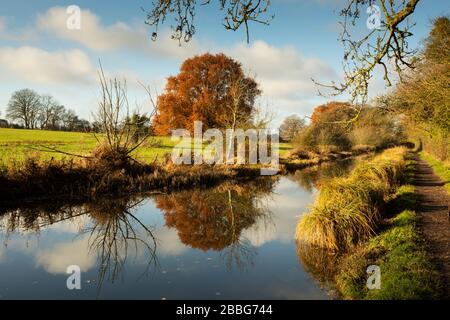 Canal de Basingstoke en automne Banque D'Images