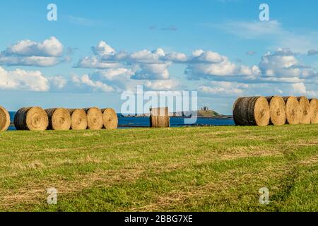 Balles de foin sur un pré récemment coupé près de la mer, avec les ruines du château de Dunstanburgh derrière. Newton-by-the-Sea, Northumberland, Royaume-Uni. Août 2018. Banque D'Images