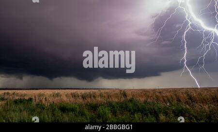 Tempête avec éclair clignotant sur le champ de blé au Texas États-Unis Banque D'Images