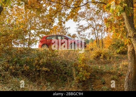 Fiat tipo rouge sur l'aire de pique-nique Banque D'Images