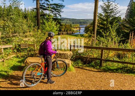 Cycliste prenant une pause pour regarder la vue de la route du vélo de Lakeside Way, Kielder, Northumberland, Royaume-Uni. Octobre 2018. Banque D'Images