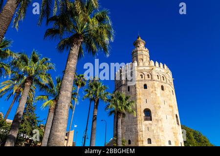 Torre del Oro - Tour de guet médiévale du XIIIe siècle et maintenant une terrasse d'observation et un musée naval, Séville, Andalousie, Espagne Banque D'Images