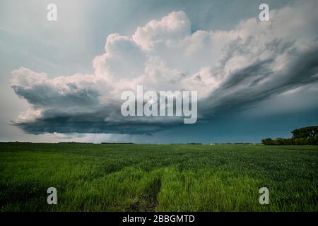 Tempête formant un nuage de rayons sur le terrain dans le sud du Manitoba, Canada Banque D'Images