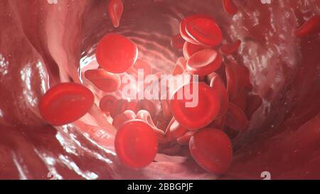 illustration tridimensionnelle des globules rouges à l'intérieur d'une artère, d'une veine. Le flux de sang à l'intérieur d'un organisme vivant. Concept microbiologique scientifique et médical Banque D'Images