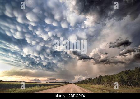 Gorgeoud nuages profonds de mammatus au-dessus de la route de gravier dans les régions rurales du sud du Manitoba Canada sur une tornade a prévenu super cellule Banque D'Images