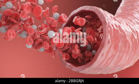 illustration tridimensionnelle des globules rouges à l'intérieur d'une artère, d'une veine. Flux sanguin artériel de section efficace. Concept microbiologique scientifique et médical Banque D'Images