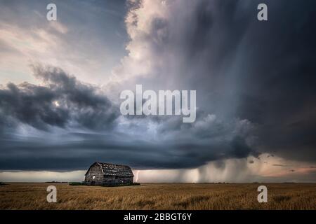 Tempête avec foudre, pluie et ancienne grange abandonnée dans le sud rural du Manitoba Canada Banque D'Images