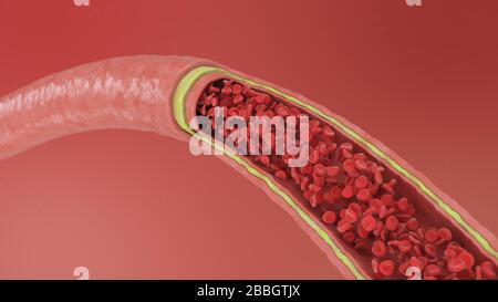 Vue artère transversale. Globules rouges à l'intérieur d'une artère, veine. Un flux sanguin sain. Concept scientifique et médical. Transfert d'éléments importants Banque D'Images