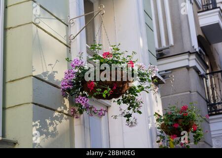 Paniers suspendus de fleurs sur le mur d'un bâtiment Banque D'Images