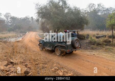 Touristes dans un véhicule de safari tzigane sur un safari tigre dans le parc national de Ranthambore, Rajasthan, Inde Banque D'Images