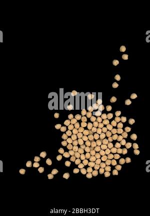 Les pois chiches Kabuli séchés ont également appelé les haricots Garbanzo sur fond noir. Banque D'Images