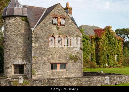 Chalets couverts à Boston Ivy à Killarney, comté de Kerry, Irlande Banque D'Images