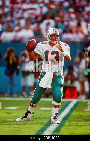 DaN Marino 0f les dauphins de Miami Banque D'Images