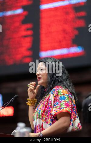 Alejandra Frausto, ministre mexicain de la culture, s'adresse au Congrès fédéral à Mexico. Banque D'Images