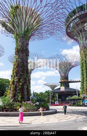 Supertree Grove et Skyway, Gardens by the Bay, Downtown Core, Marina South, Singapour Banque D'Images