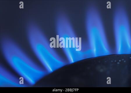 Flamme bleue provenant d'une cuisinière à gaz. Banque D'Images