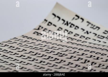 Étude de l'écriture hébraïque - style de défilement Torah, (Bible) des lettres aléatoires en hébreu sur le cuir. (Éditeur: Les lettres n'ont aucune signification et sont complètement rand Banque D'Images