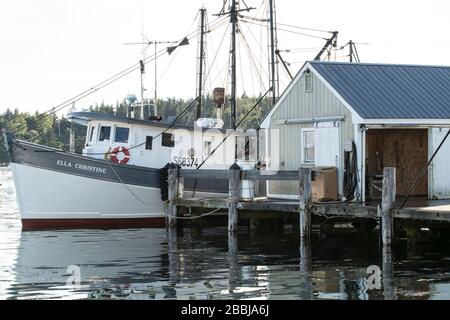 Plein de bateaux ici dans le port. Excursions aux îles ici, montre les propriétés Wyeth.beaucoup de bateaux de pêche à la fois commerciaux et de plaisance bateaux. Banque D'Images