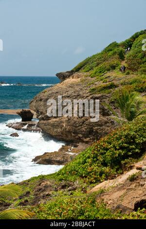 Partie côtière de la randonnée du Grand Sentier autour de la péninsule de Caravelle, Caravelle, Martinique, Petites Antilles, Antilles françaises, Caraïbes Banque D'Images