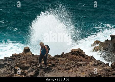 Partie côtière de la randonnée du Grand Sentier autour de la péninsule de Caravelle, Caravelle, Martinique, Petites Antilles, Antilles françaises, Caraïbes Banque D'Images