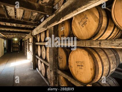 Buffalo Trace Bourbon Distillery, Frankfort, KY, États-Unis Banque D'Images