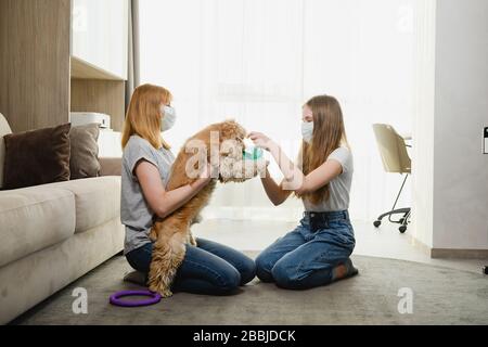 Deux femelles à la maison pendant la période d'isolement tentent de protéger un animal de compagnie charmant contre les virus, le coronavirus, couvrant le museau de chien Banque D'Images