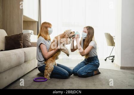 Deux femelles à la maison pendant la période d'isolement tentent de protéger un animal de compagnie charmant contre les virus, le coronavirus, couvrant le museau de chien. Maman et fille avec un chien. Banque D'Images