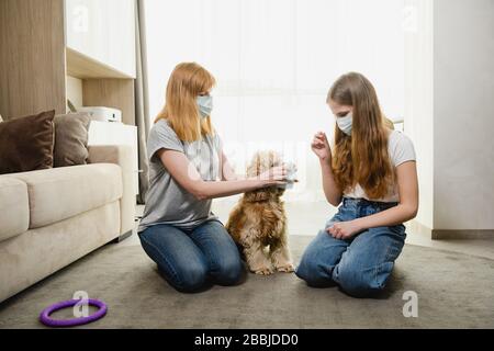 Deux femelles à la maison pendant la période d'isolement tentent de protéger un animal de compagnie charmant contre les virus, le coronavirus, couvrant le museau de chien. Maman et fille avec un chien. Banque D'Images