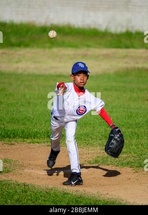 Jeu de base-ball pour jeunes, Mirimar. La Havane, Cuba. Banque D'Images