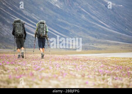 Vue arrière de deux routards qui s'aventuriers à travers la prairie de fleurs sauvages. Banque D'Images